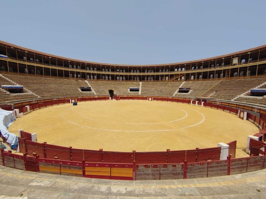 Alicante: Private Guided Visit to Alicante Bullring & Museum - The Museum: Digging Into the Past