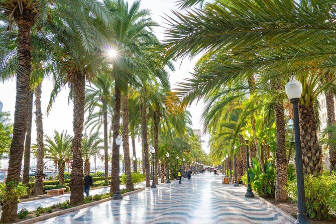 Alicante Semi-Private Tour: City, Castle, Market & Tapas Walk - Practical Details and Value