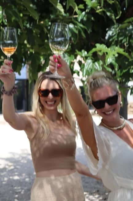 Alicante: Sustainable Wine & Tapas Experience at 3 Wineries - Exploring the Heart of Alicante’s Wine Country