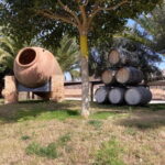 Alicante: Wine tasting tour with transfer - The Itinerary in Detail