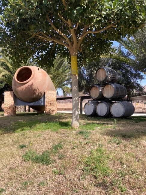 Alicante: Wine tasting tour with transfer - The Itinerary in Detail