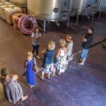 Alicante Wine Tour with Wine Tasting - Why This Tour Is a Great Choice