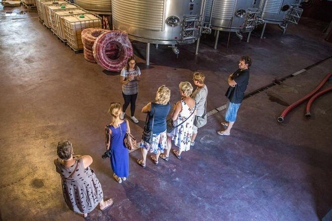 Alicante Wine Tour with Wine Tasting - Why This Tour Is a Great Choice