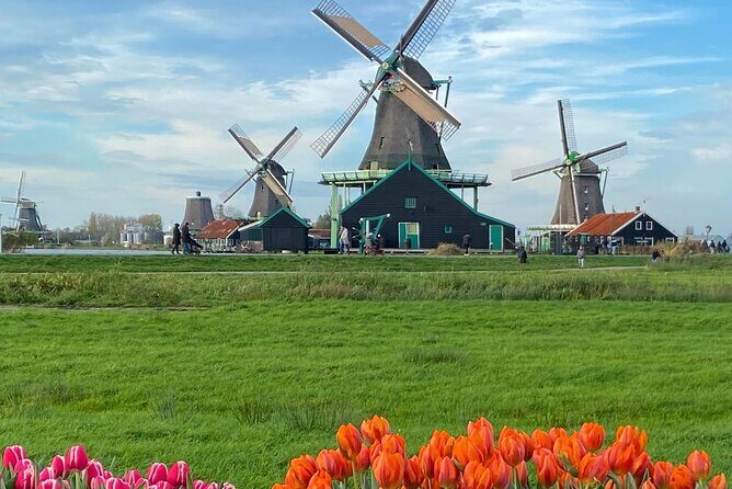 Alkmaar Cheese Market, & Zaanse Schans Guided Day Tour - Who Should Consider This Tour?