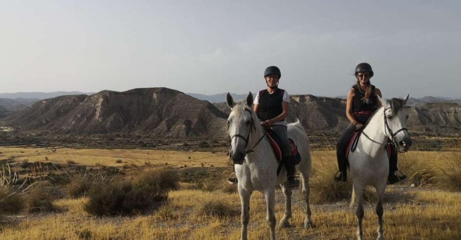 Almeria: Horse Riding Tour Through the Tabernas Desert - The Value of a $46 Horseback Ride in the Desert