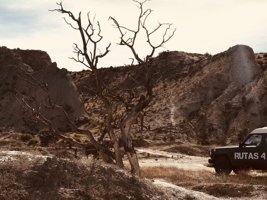 Almeria: Tabernas Desert 4x4 Tour - What’s the Landscape Like?