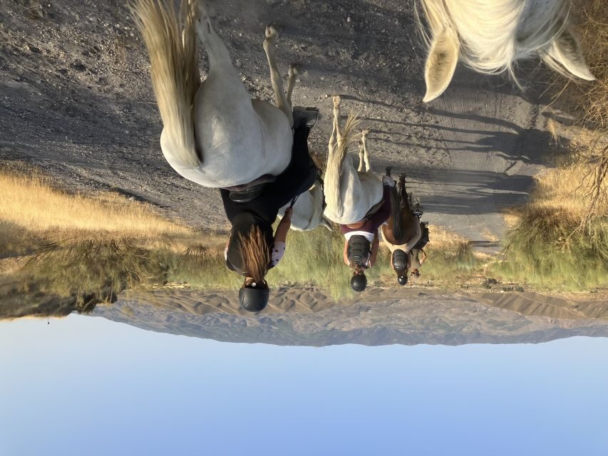 Almeria: Tabernas Desert Horse Riding for experienced riders - Preparing for the Ride: What to Expect