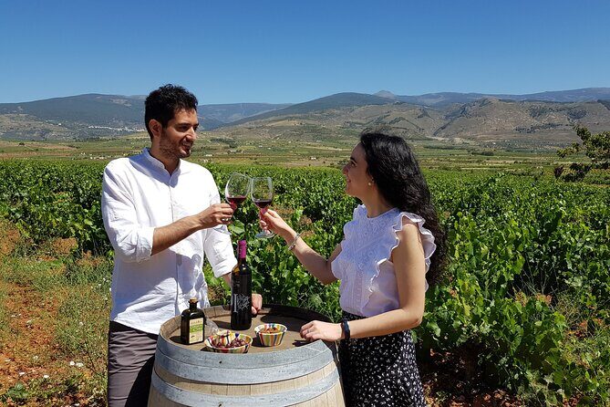 Almería Visit to Eco Winery Cortijo El Cura and wine tasting - Final Thoughts