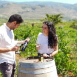 Almería: Wine tour and aperitif from La Alpujarra in Winery - An In-Depth Look at the Experience