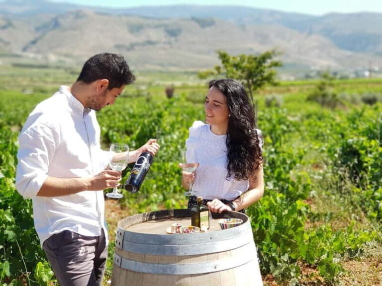 Almería: Wine tour and aperitif from La Alpujarra in Winery - An In-Depth Look at the Experience