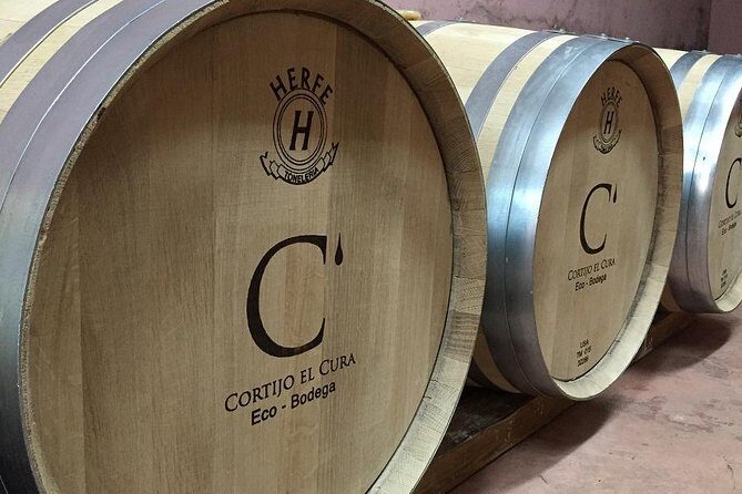 Almería Wine tour and tasting in English in Bio Winery - Who Will Love This Tour?