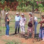 Almería: Wine tour and tasting in Organic Winery - The Itinerary Breakdown