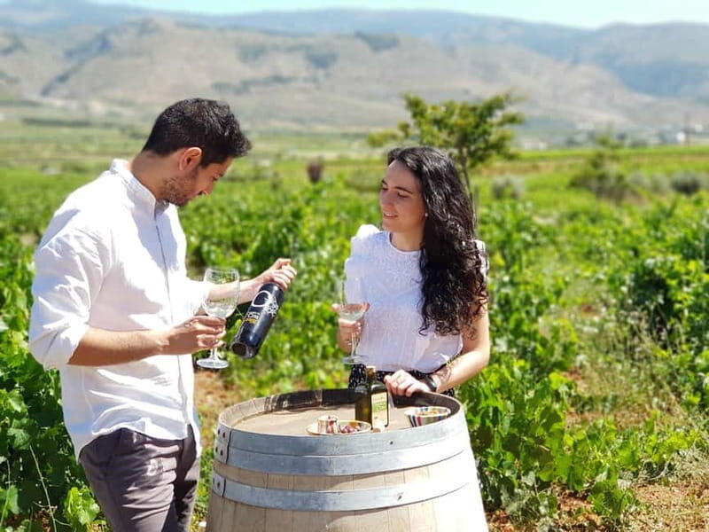 Alpujarra of Almería: Organic Wine tour and vegan aperitif - Why This Tour Is Worth It