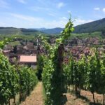 Alsace 4 Wonders Private Full Day Trip - What to Expect: Practical Details