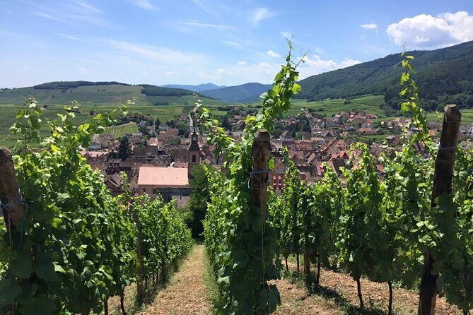 Alsace 4 Wonders Private Full Day Trip - What to Expect: Practical Details