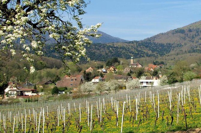Alsace 4 Wonders Small-Group Day Trip from Colmar - Who Should Consider This Tour?