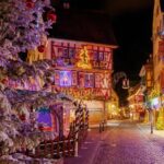 Alsace Christmas Markets Day Tour from Strasbourg - Who Will Love This Tour?
