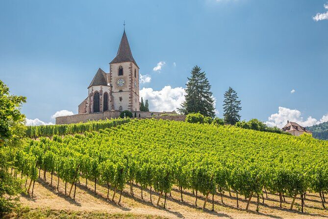 Alsace Full Day Wine Tour from Colmar - A Deep Dive into the Alsace Full Day Wine Tour