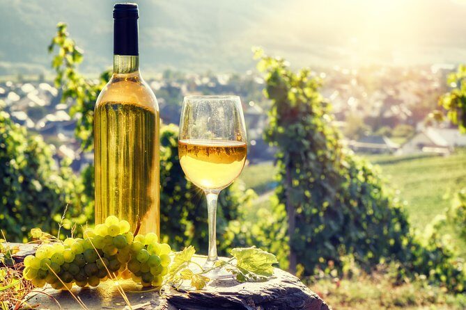 Alsace Wine Route Wineries & Tasting Small Group Guided Tour from Strasbourg - First Stop: Mittelbergheim and Riesling Heaven