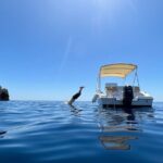 Amalfi Coast Boat Rental: Explore, Swim, and Relax at Your Pace - FAQs