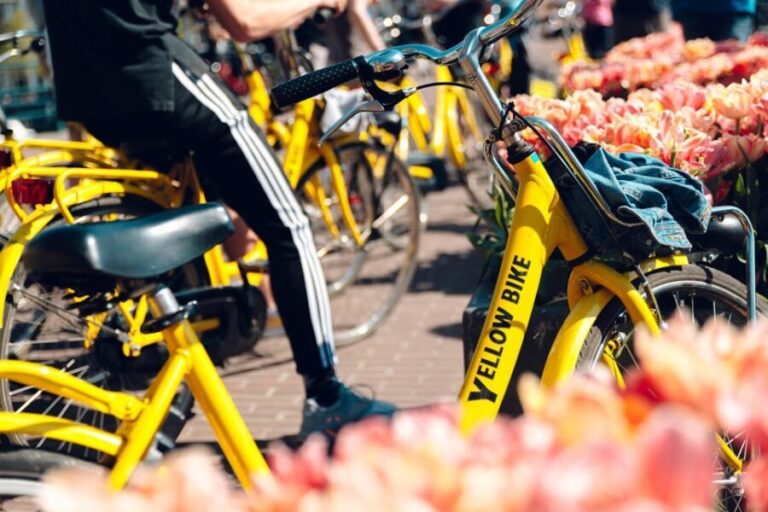 Amsterdam: Bike Rental - What to Expect When Renting Your Bike