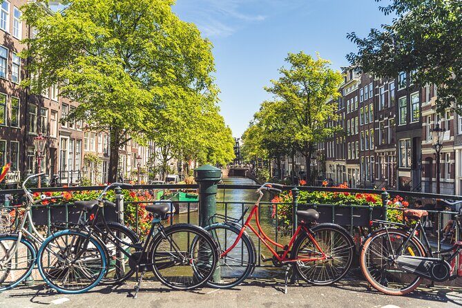 Amsterdam Highlights Small-Group Walking Tour - Authentic Insights from Reviewers