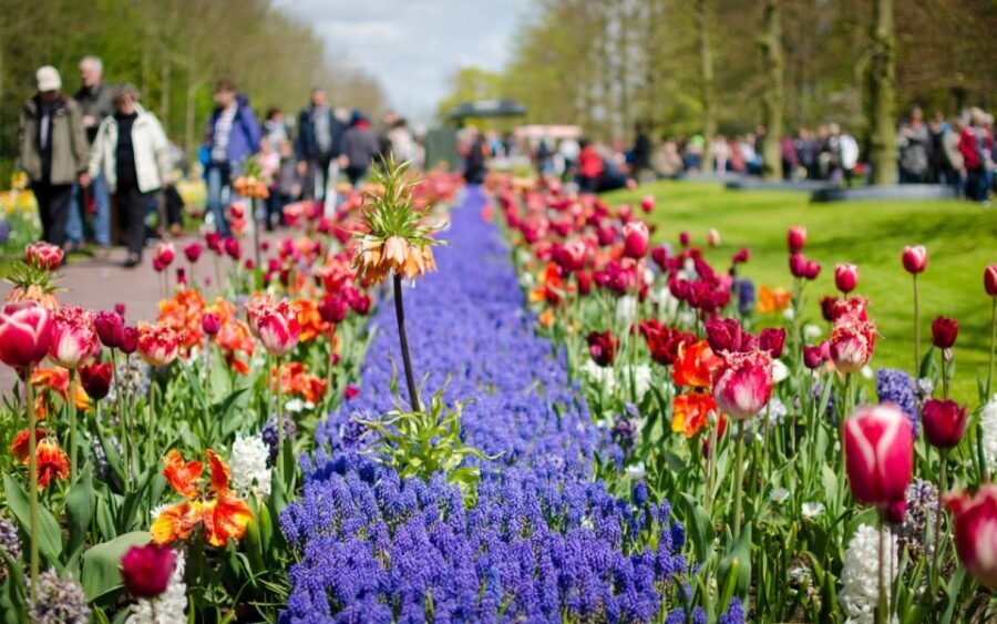 Amsterdam: Keukenhof and Zaanse Schans Windmills Day Trip - FAQs