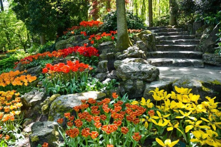Amsterdam: Keukenhof Gardens Half Day Guided Tour - The Value of This Tour