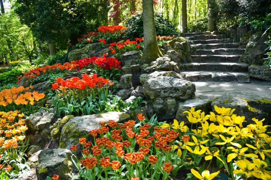 Amsterdam: Keukenhof Gardens Half Day Guided Tour - The Value of This Tour
