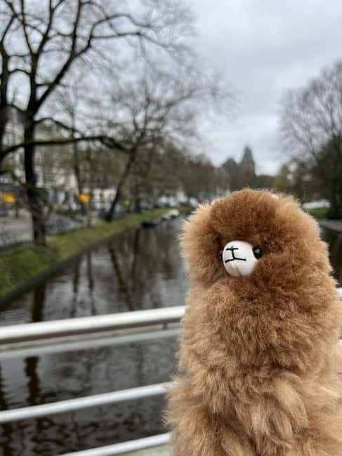 Amsterdam: Rijksmuseum Private Guided Tour & Entry Tickets - Exploring the Rijksmuseum: A Closer Look