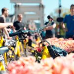 Amsterdam Small-Group Bike Tour - Key Points