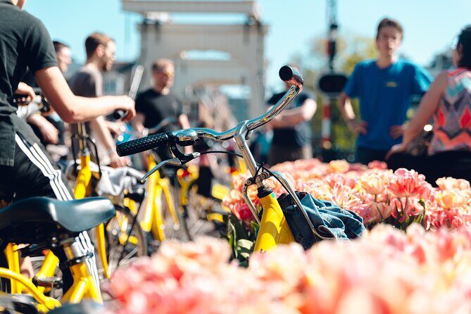 Amsterdam Small-Group Bike Tour - Key Points