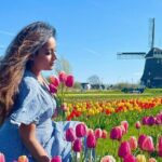 Amsterdam: Tulip Fields Day Tour with Lunch and a Windmill Visit - Real Experiences and Authentic Reviews