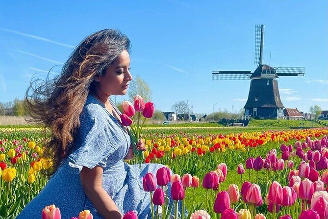 Amsterdam: Tulip Fields Day Tour with Lunch and a Windmill Visit - Real Experiences and Authentic Reviews