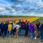 Amsterdam: Tulip Fields Day Tour with Lunch & Windmill - An In-Depth Look at What to Expect