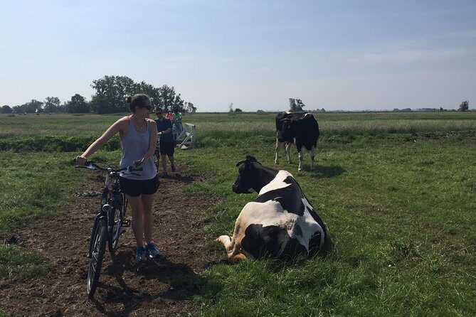 Amsterdam's Countryside Half-Day Bike Tour in Small Group - Exploring the Waterland Region