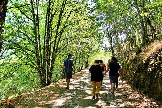 An adventure through the Schist Villages of Lousã - A Detailed Look at the Schist Villages Tour of Lousã
