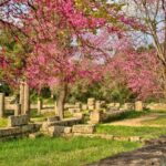 Ancient Olympia Full-Day Private Tour from Athens - Why this tour offers great value