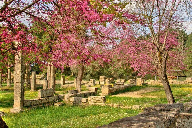 Ancient Olympia Full-Day Private Tour from Athens - Why this tour offers great value
