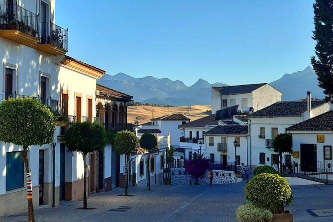 Andalucia by Sunset - half day tour including dinner and Ronda pickup - Who Will Benefit Most?