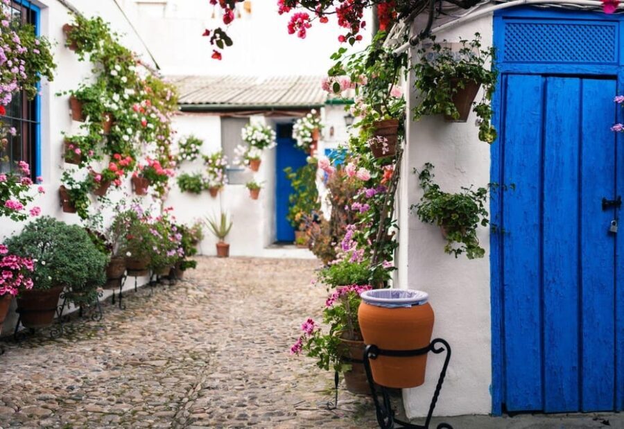 Andalusia Express from Madrid 4 Day tour - Analyzing the Value