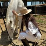 Andalusia, Spain: Horseback Safari with Gourmet Picnic - Key Points