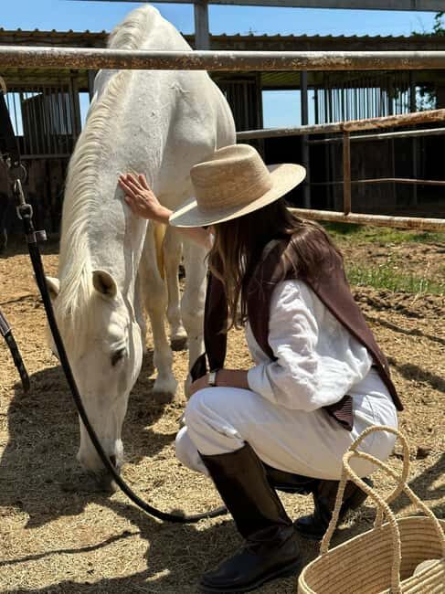 Andalusia, Spain: Horseback Safari with Gourmet Picnic - Key Points