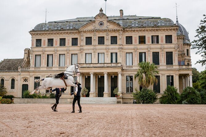 Andalusian Horses Dance Show - Who Will Enjoy This Experience Most?