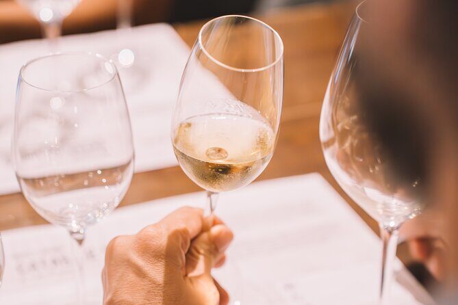 Andalusian Wine Tasting in Cala de Mijas - 4 Top Wines + Tapas - The Sum Up: Is This Tour Right for You?