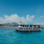 Andratx: Private cruise with skipper included along the coast of Andratx - A Closer Look at the Andratx Private Cruise Experience