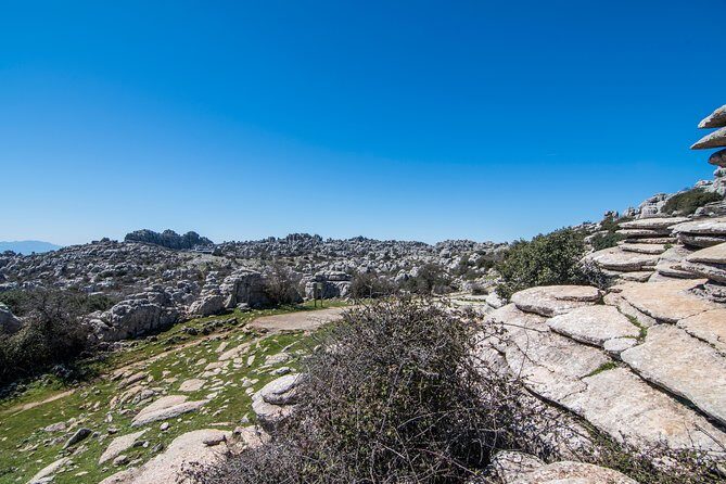 Antequera and Torcal from Granada in a small group up to 7 people - What Travelers Love & Consider