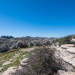 Antequera Palaeolithic and Torcal World Heritage from Malaga - Authentic Insights from Travelers and Practicalities