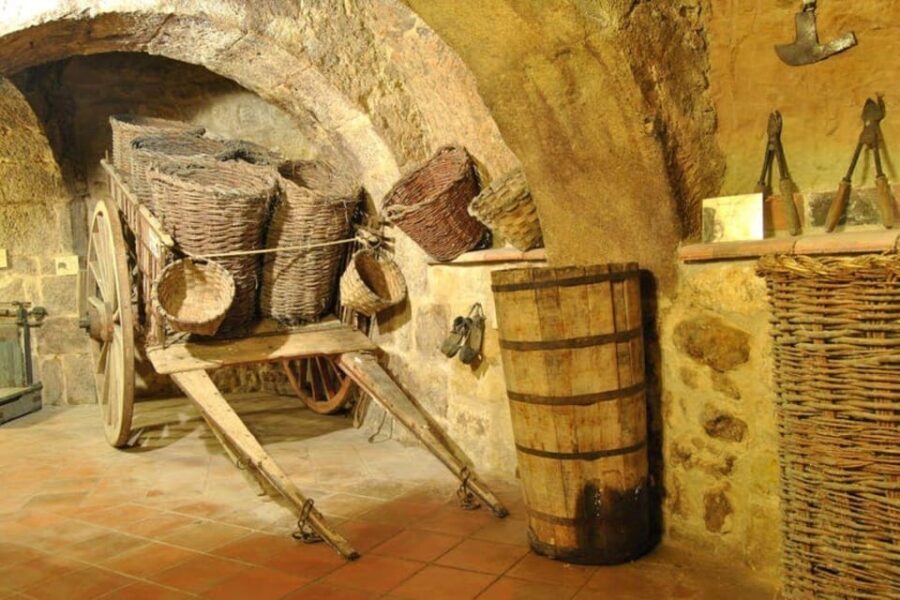 Aranda de Duero: Tour of Underground Cellar and Wine Museum - In-Depth Review of the Aranda de Duero Wine Tour