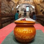 Aranda de Duero: Wine Tasting Course with Iberian Tasting - Who This Tour Is Best For